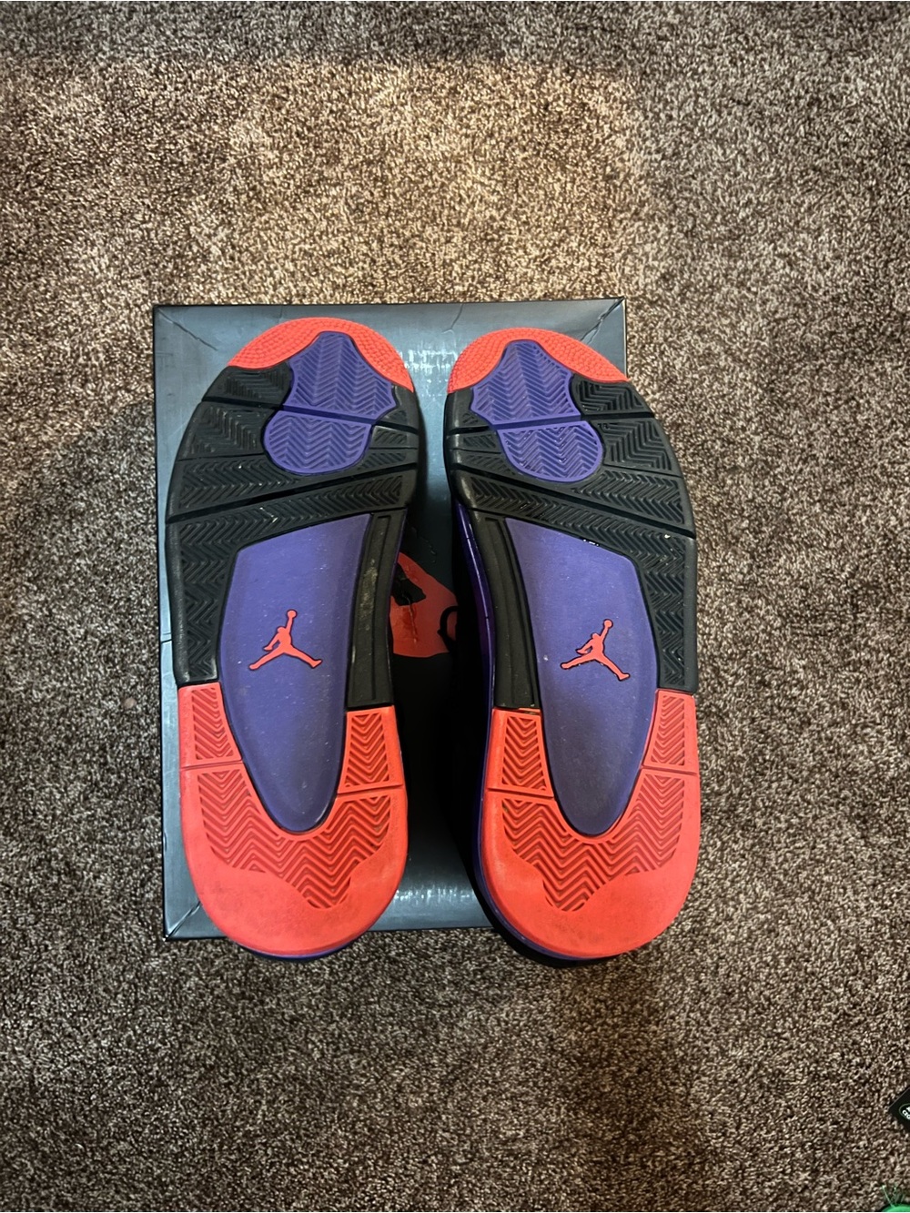 Jordan 4 Raptors - Picture 7 of 8